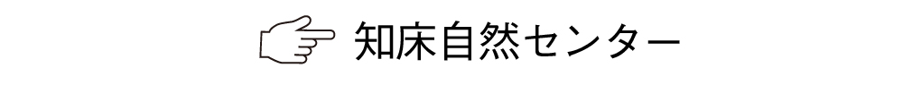 知床自然センター